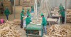 Phát huy nguồn lực để phát triển kinh tế tư nhân
